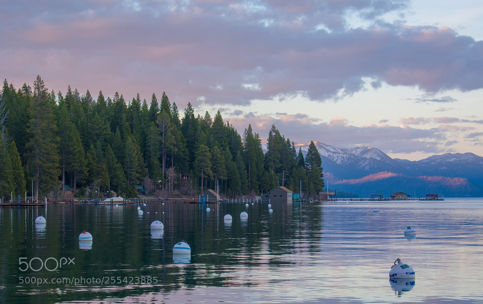 Nikon D3400 sample photo. Purple eve photography