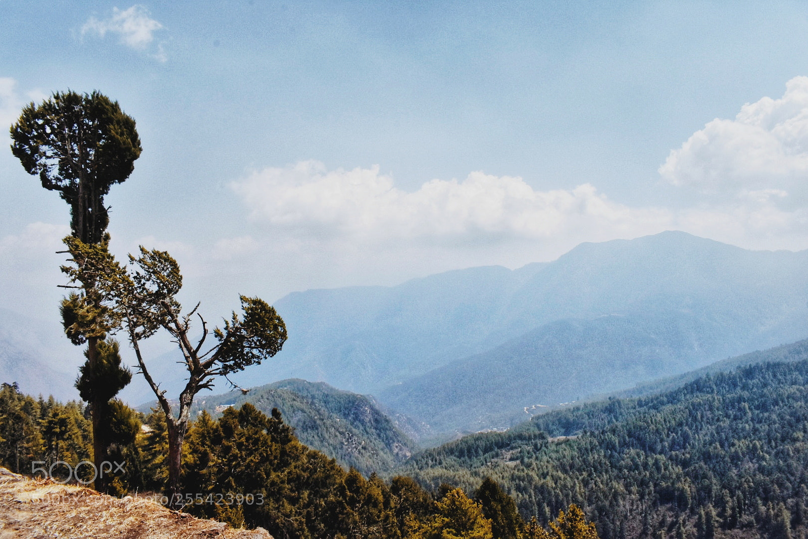Nikon D3400 sample photo. Higher the better photography