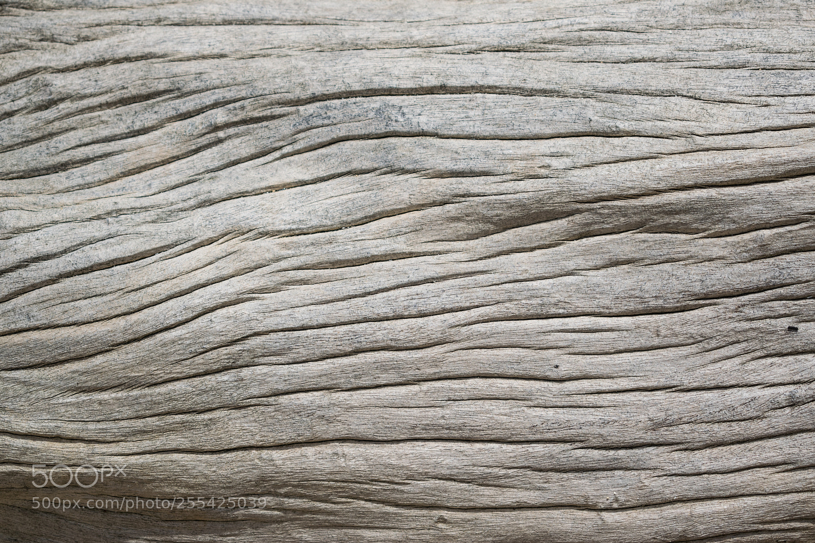 Nikon D5300 sample photo. Flowing texture photography