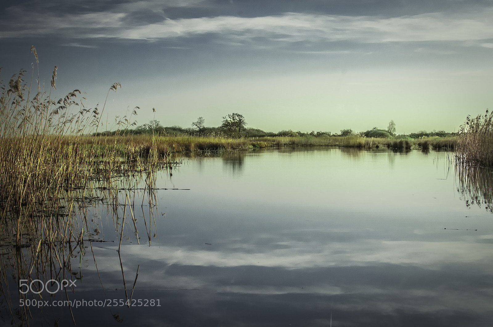 Nikon D5000 sample photo. Quiet sunset photography