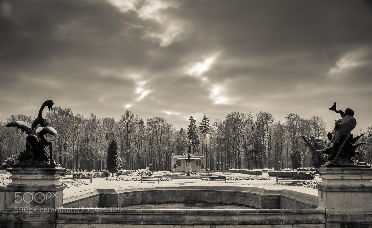 Nikon D7100 sample photo. Park Świerklaniecki photography