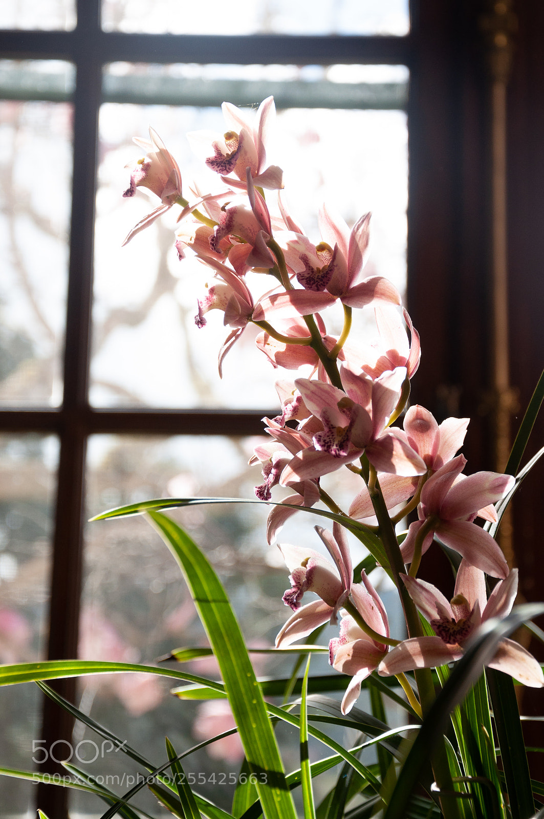 Nikon D90 sample photo. In front of the photography