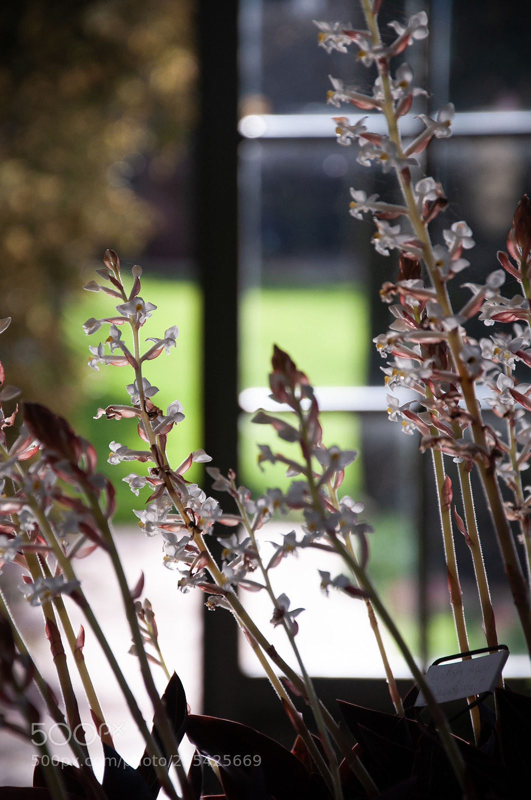 Nikon D90 sample photo. Swaying photography