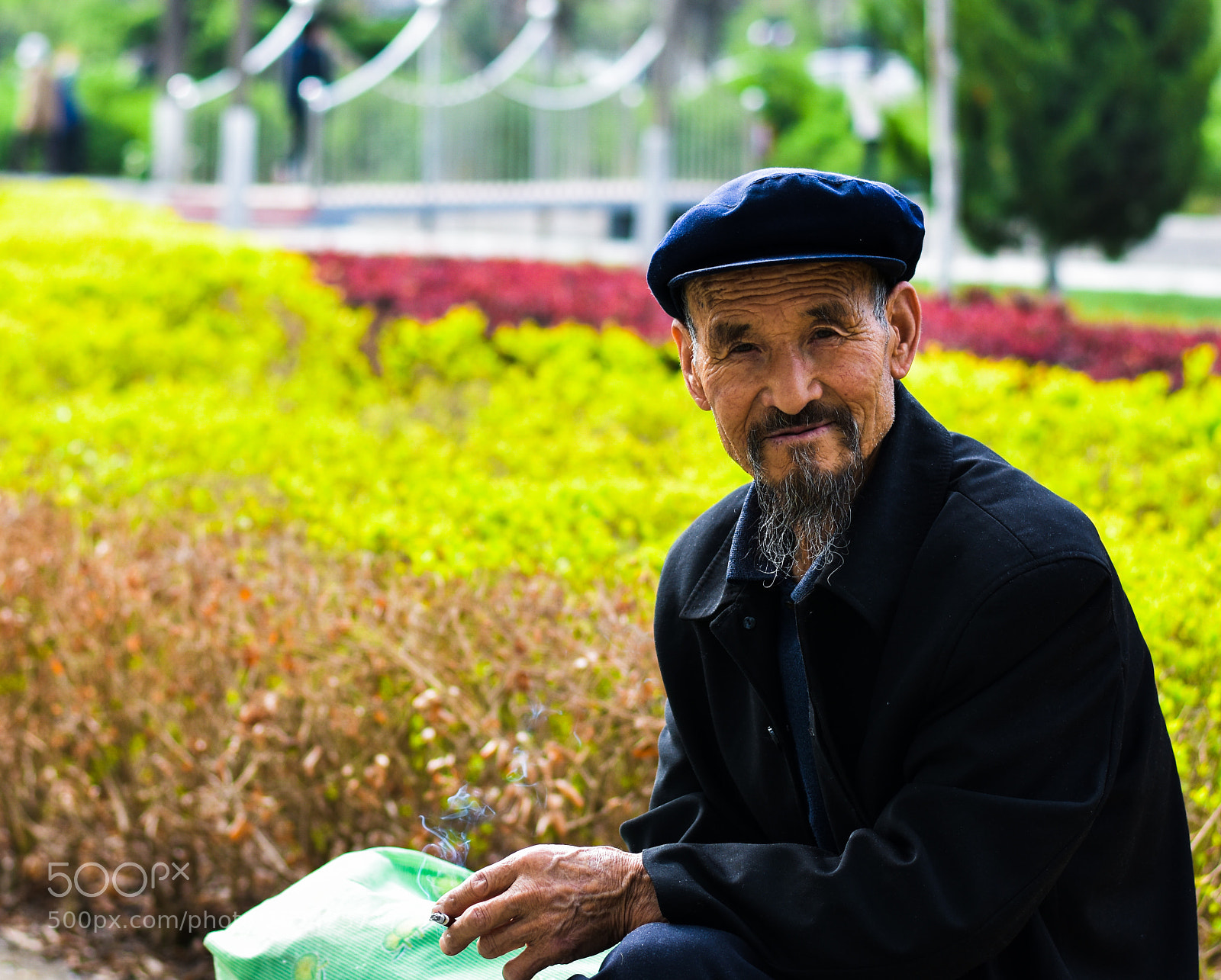Nikon D3400 sample photo. Old chinese man relaxing photography
