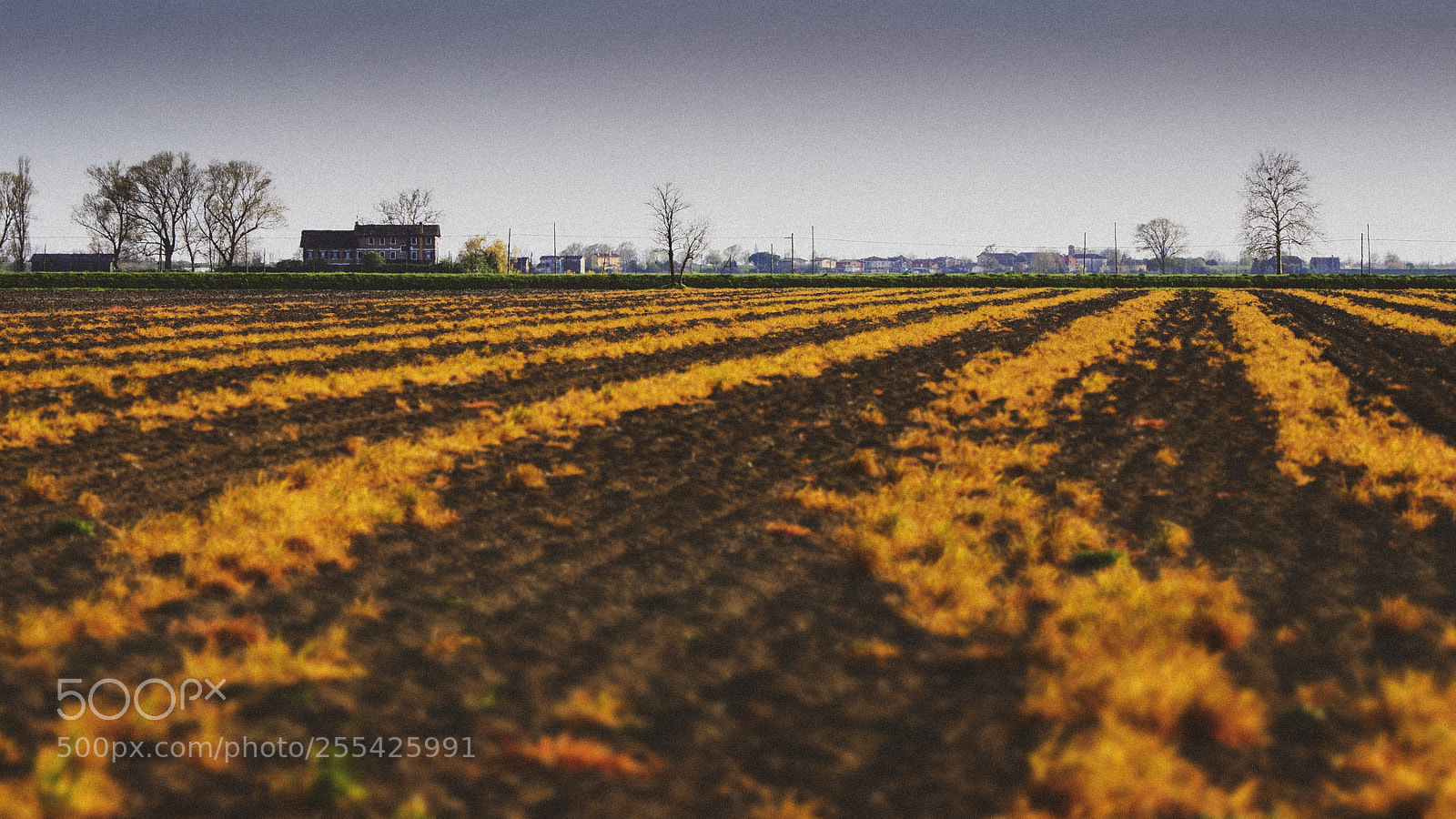 Olympus OM-D E-M5 II sample photo. ... photography