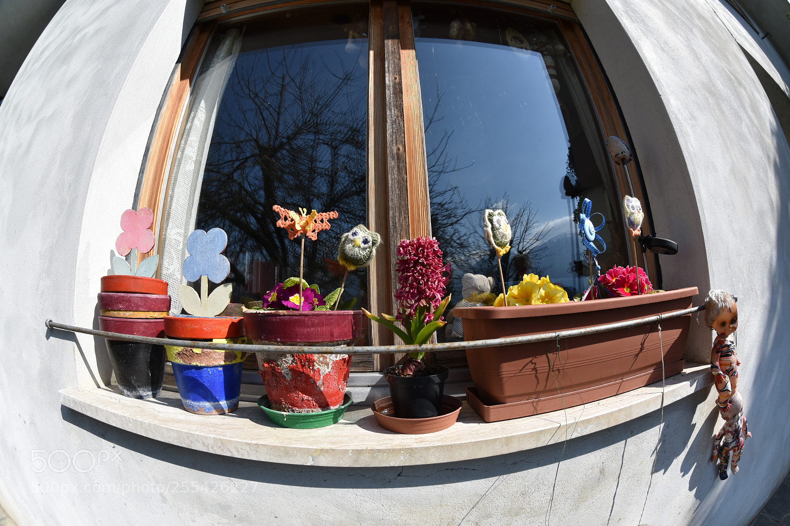 Nikon D3400 sample photo. My window photography