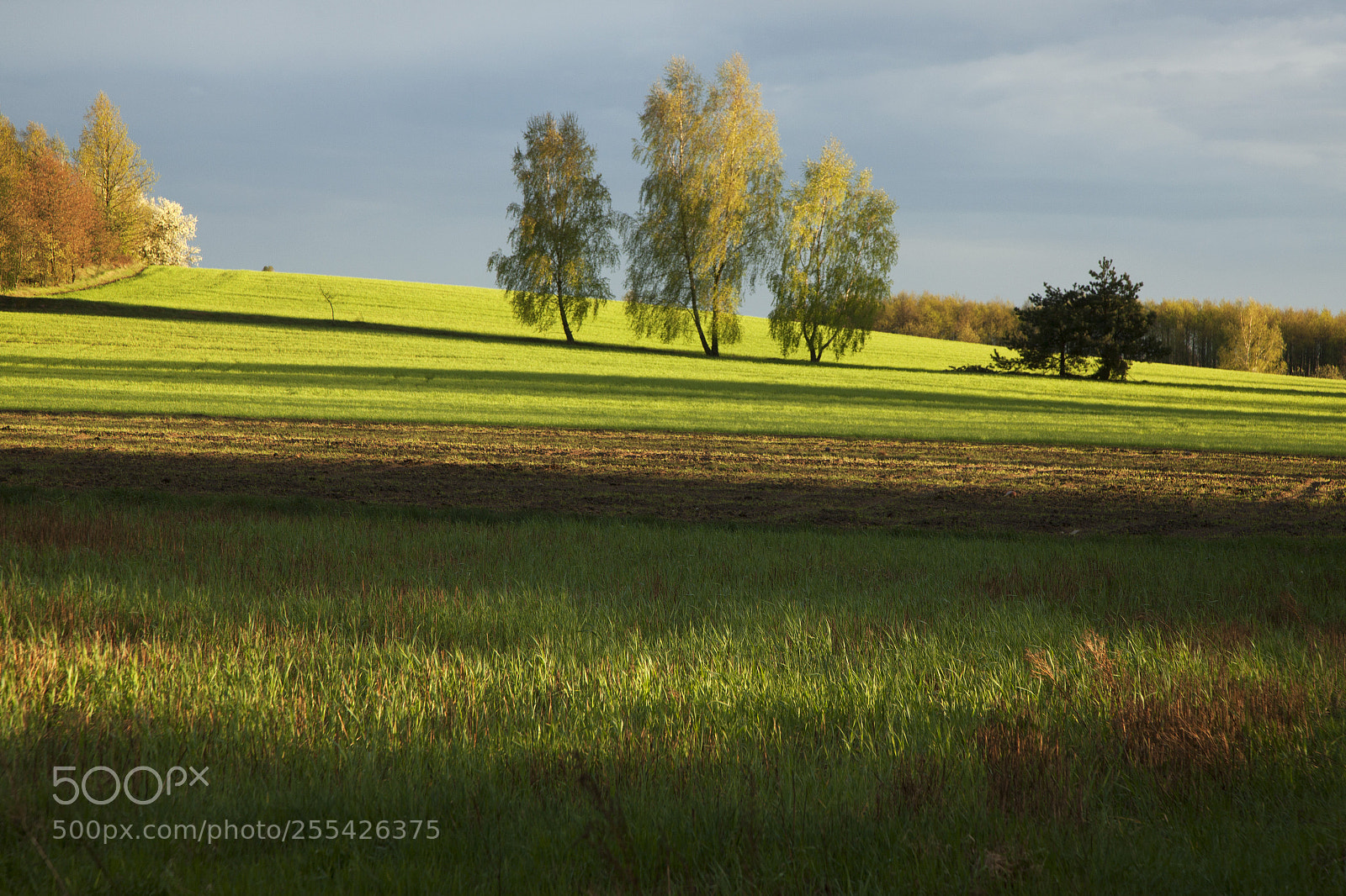 Canon EOS 5D Mark II sample photo. North mazovia, poland photography