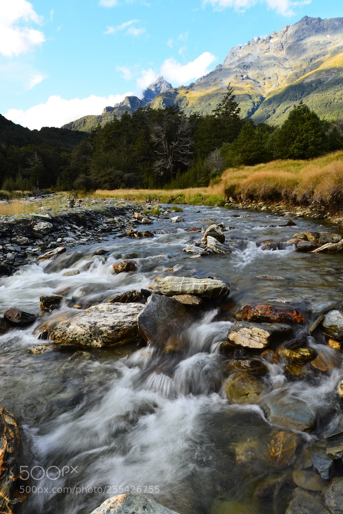 Nikon D600 sample photo. Stream photography
