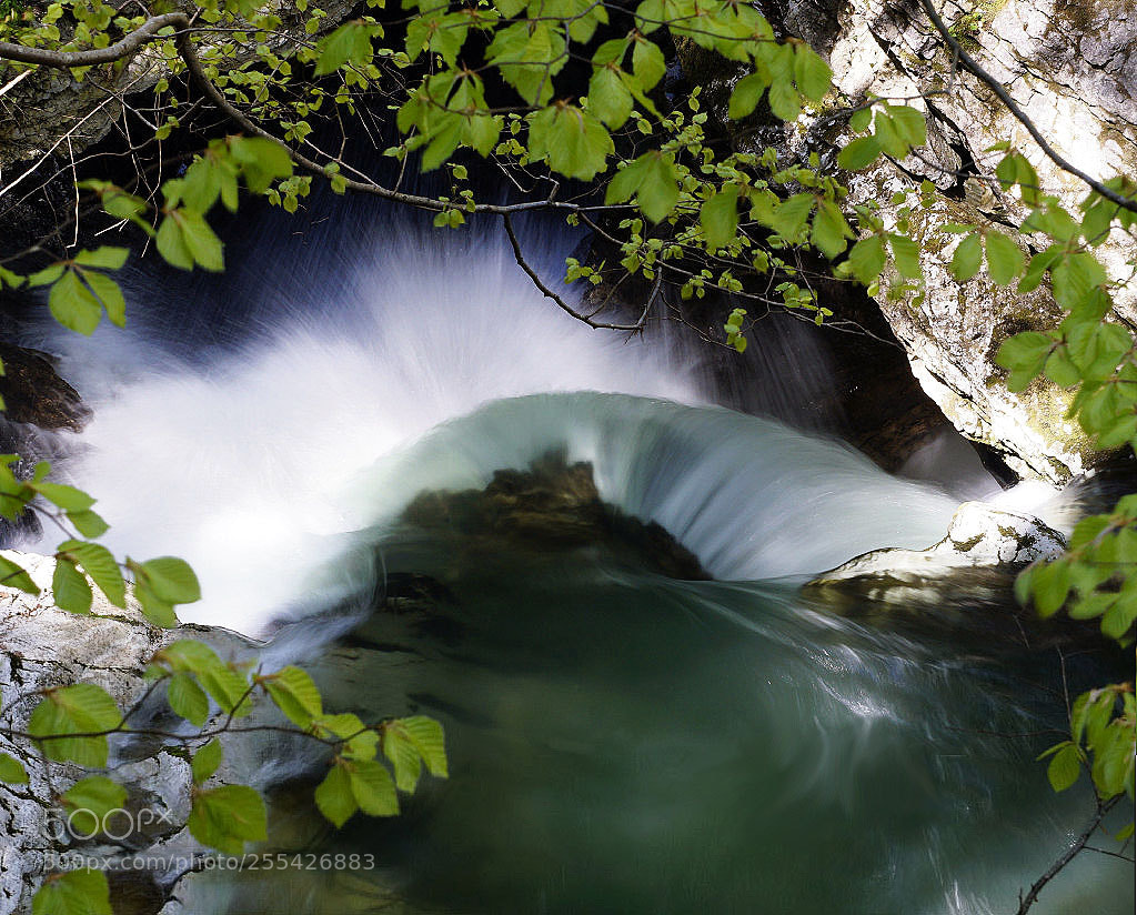 Sony ILCA-77M2 sample photo. Fall in the hole photography