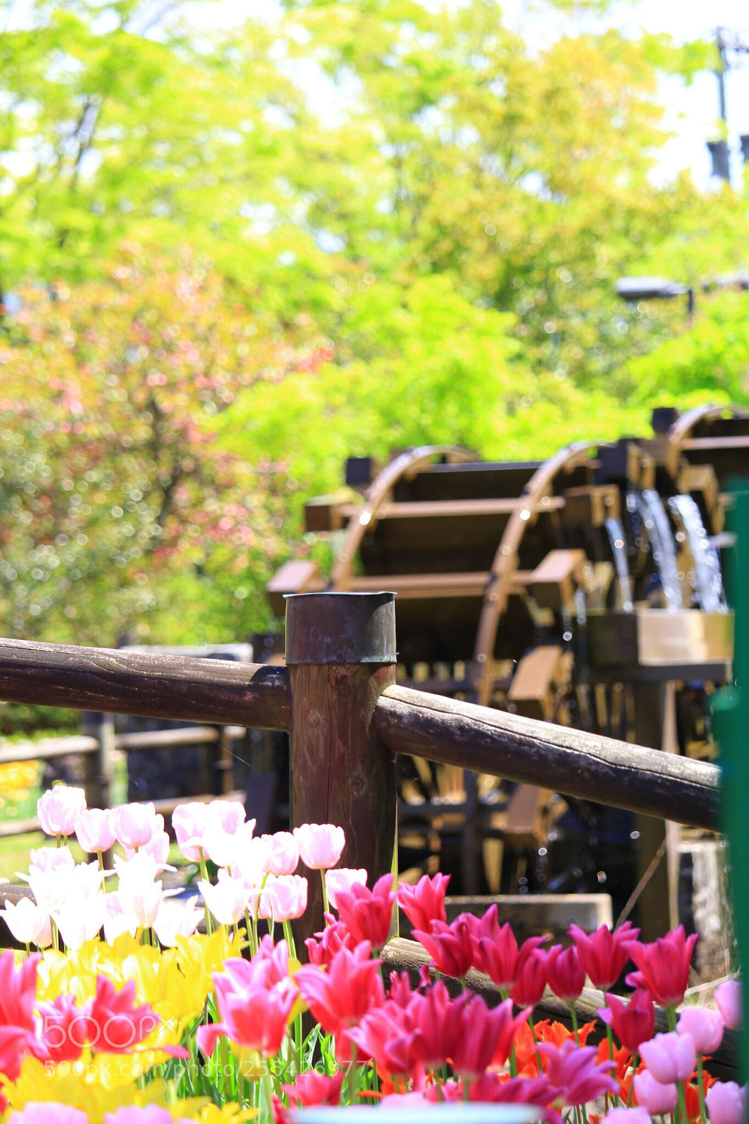 Canon EOS 60D sample photo. Untitled photography