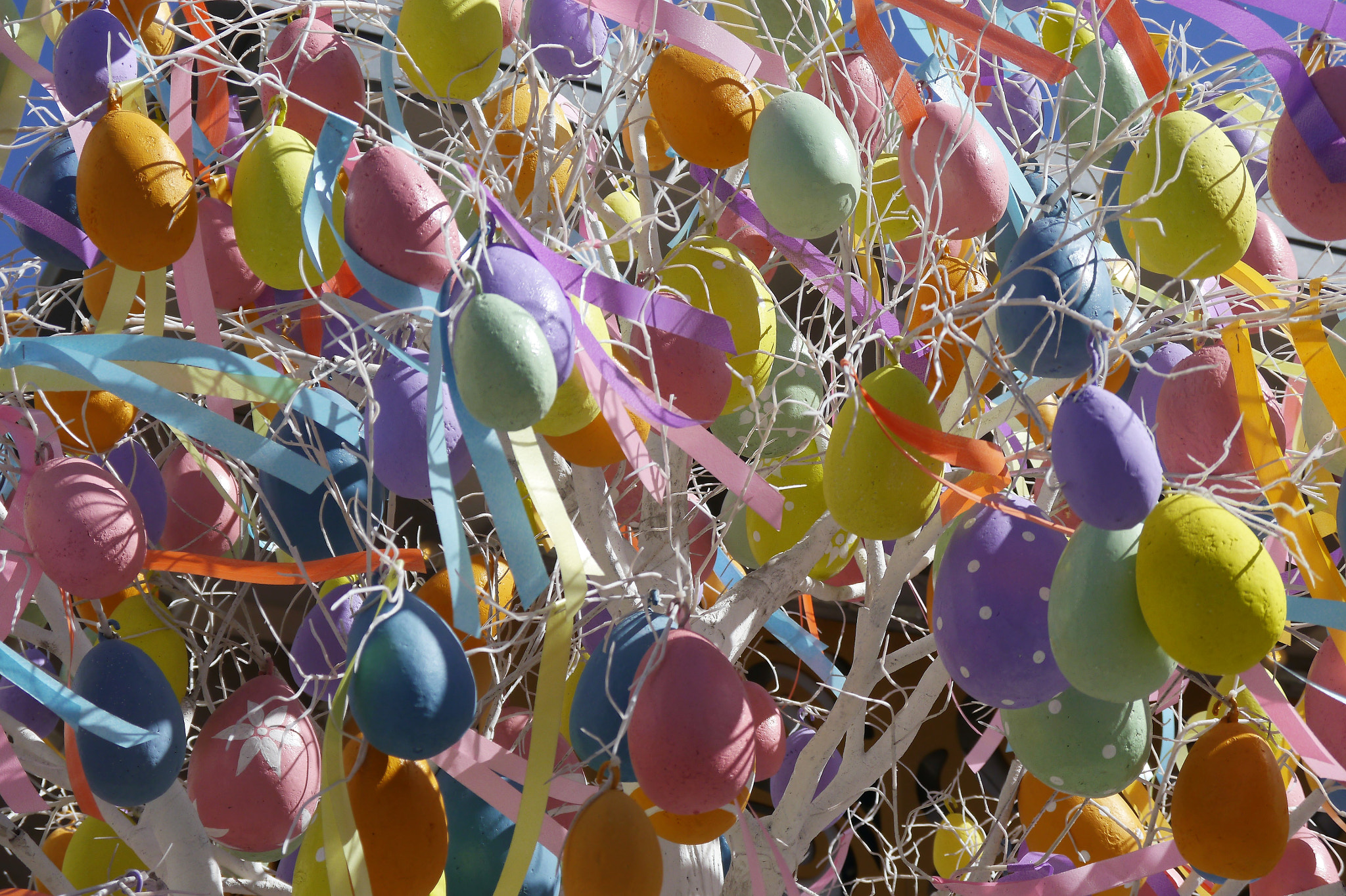 Panasonic Lumix DMC-G5 sample photo. Eggs photography