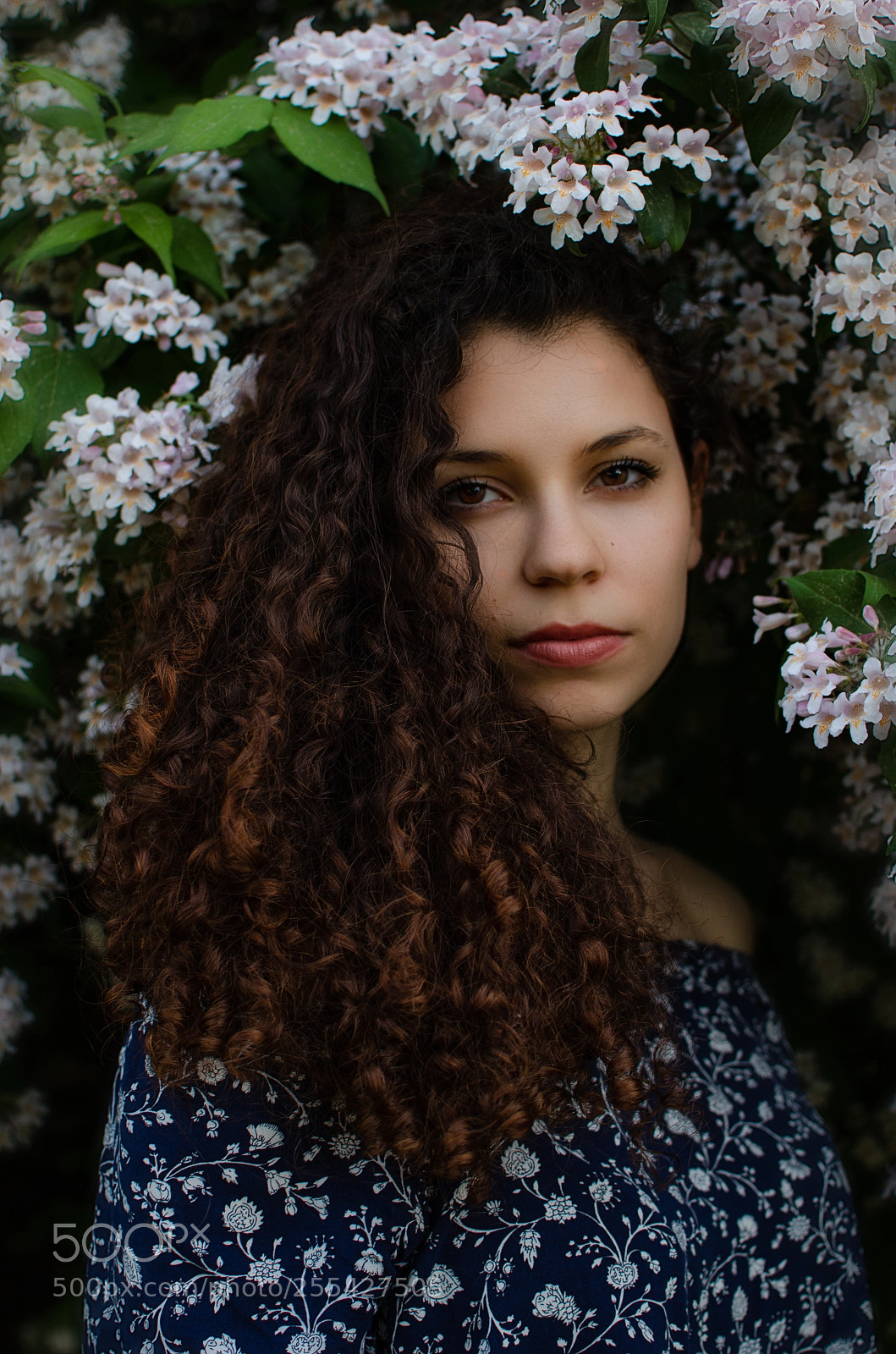 Nikon D5100 sample photo. Leaking from nature photography