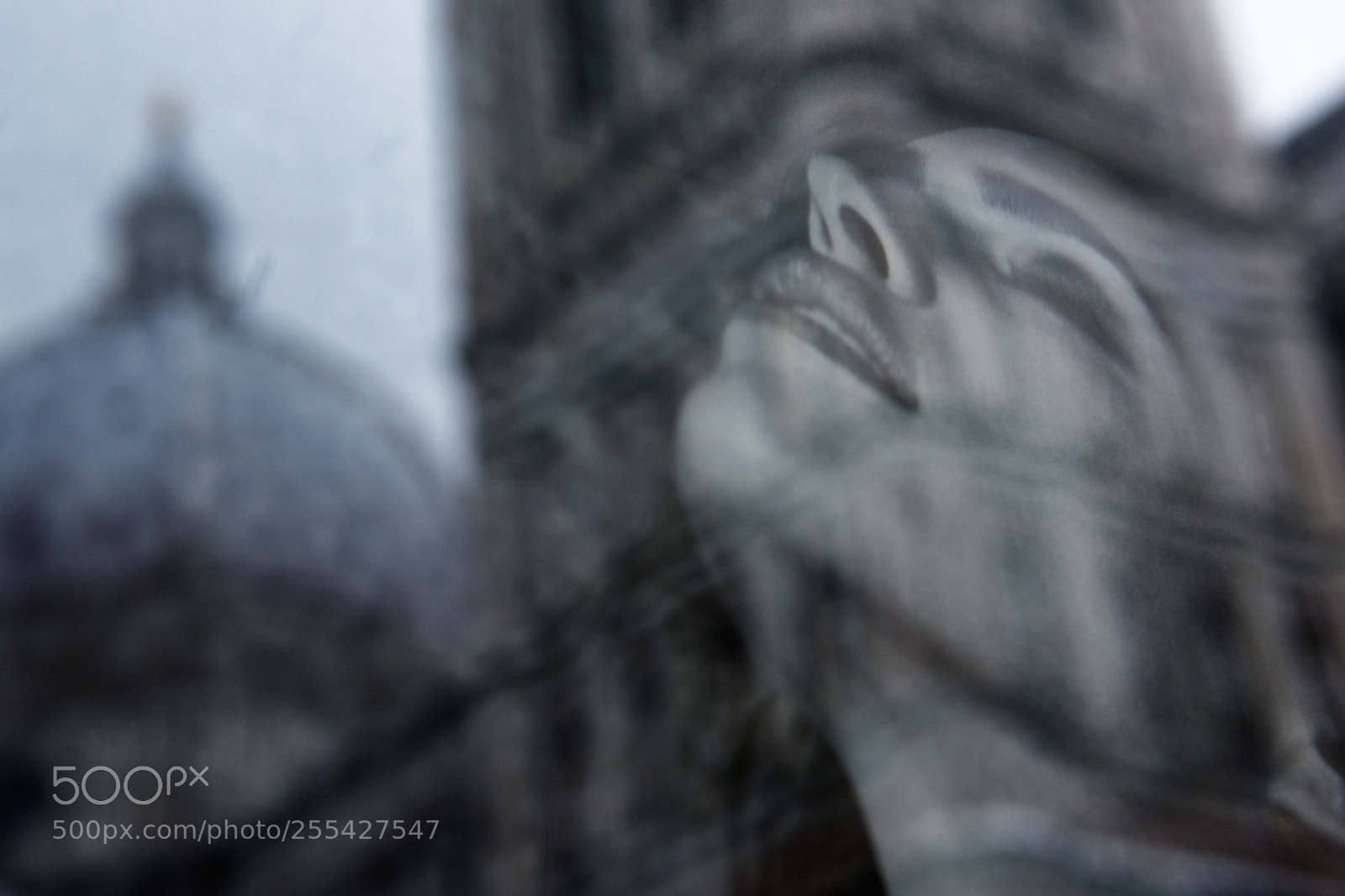 Nikon D810 sample photo. Florence white 2018 x photography