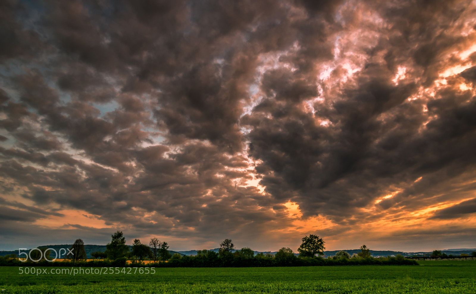 Nikon D800 sample photo. Cloudy day photography