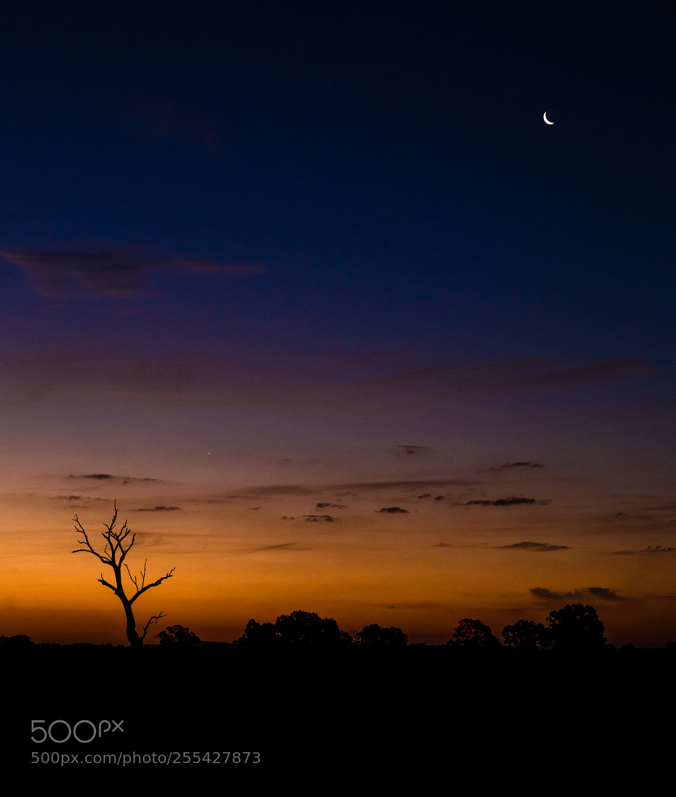 Canon EOS 6D sample photo. Walla walla sky photography