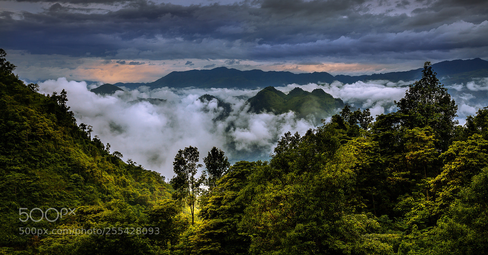 Canon EOS 5D Mark II sample photo. Sea of clouds photography