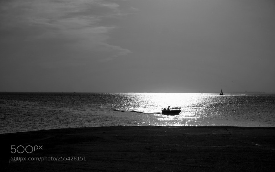 Samsung NX30 sample photo. ... photography