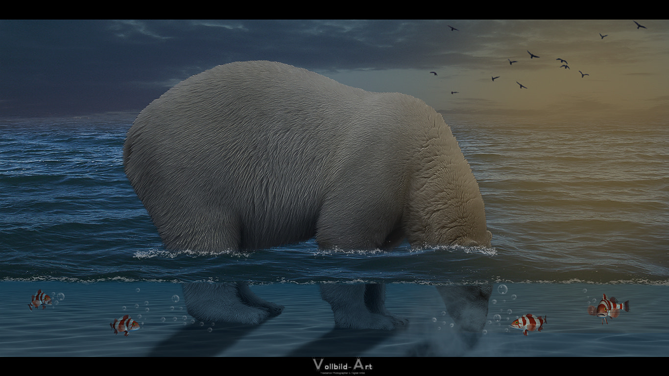Fujifilm FinePix A700 sample photo. Underwater bear photography