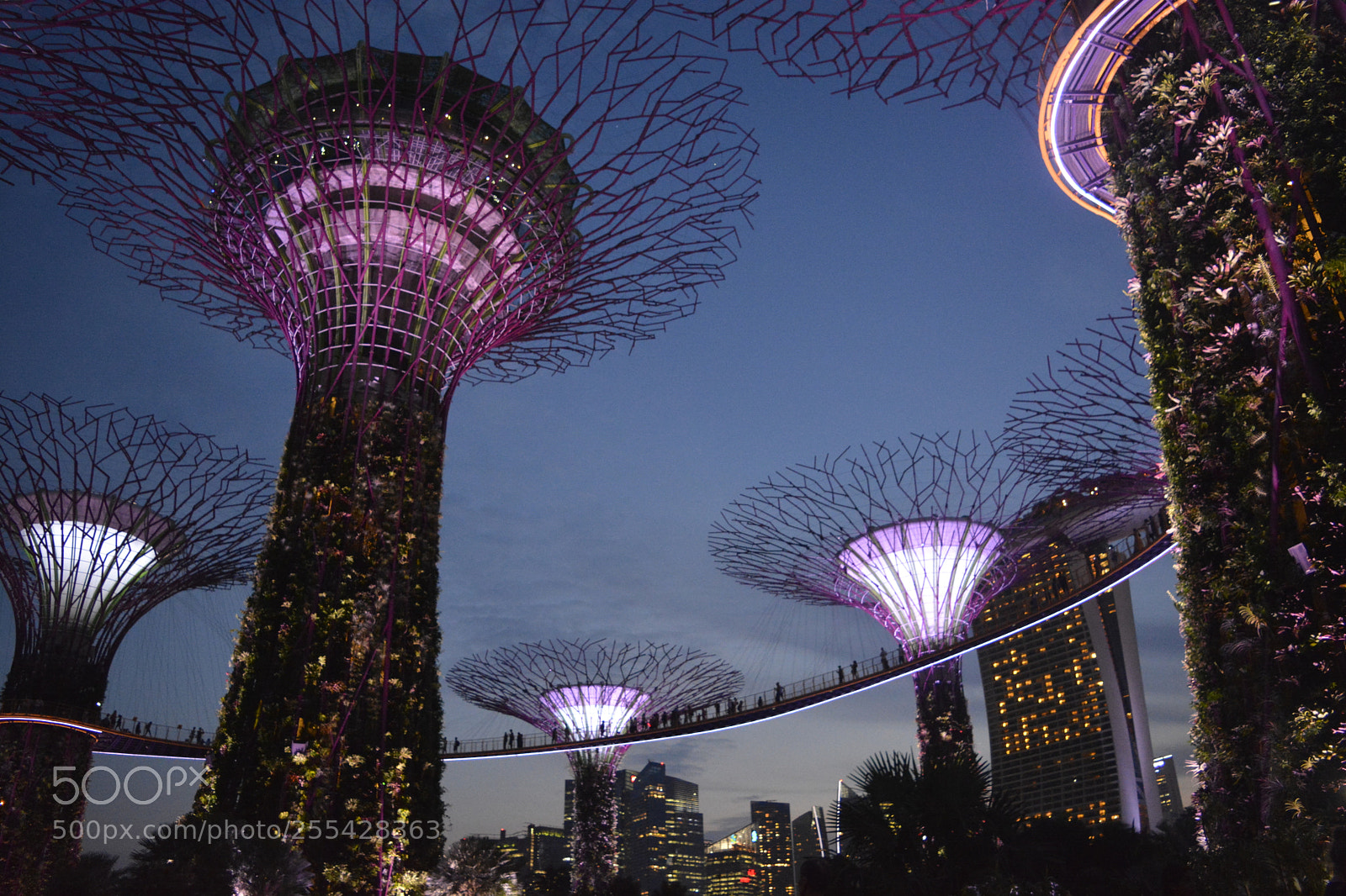 Nikon D5200 sample photo. Garden by the bay photography