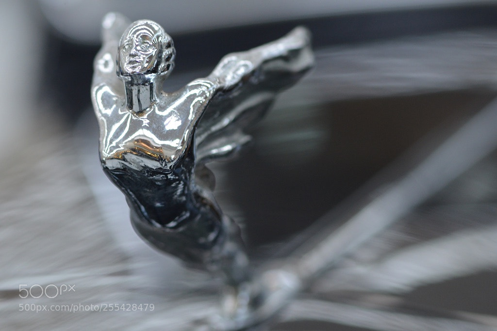 Nikon D600 sample photo. Rolls royce hood ornament photography