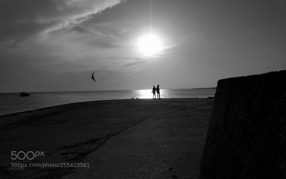 Samsung NX30 sample photo. ... photography