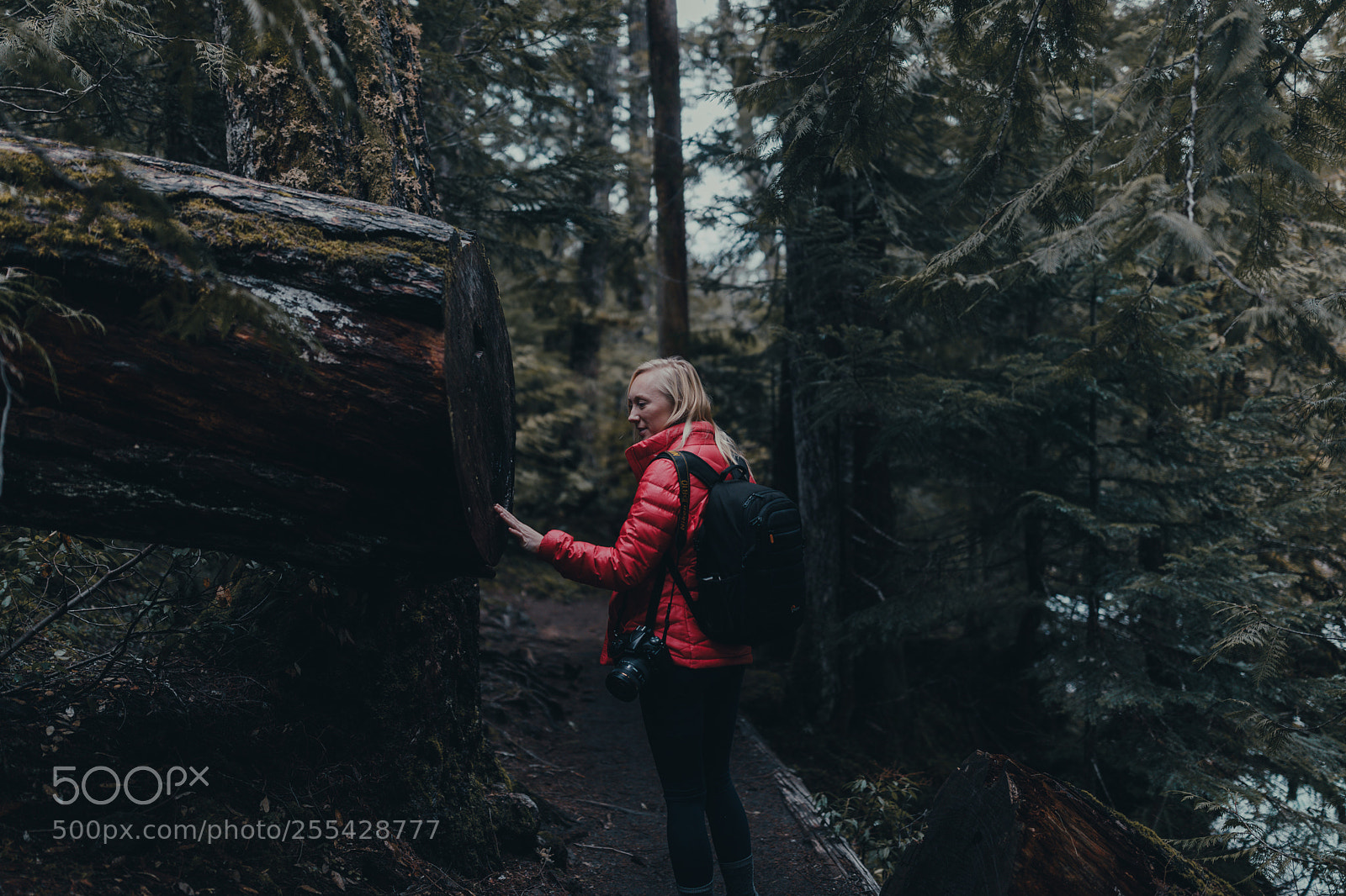 Canon EOS 5D Mark IV sample photo. Exploring the pnw photography