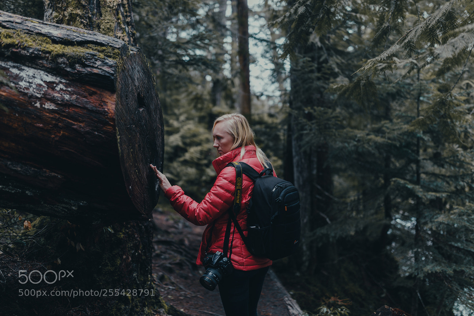 Canon EOS 5D Mark IV sample photo. Exploring the pnw photography