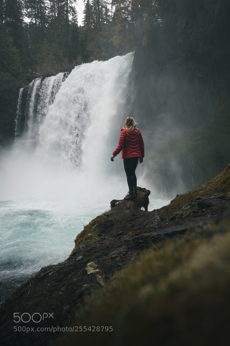 Canon EOS 5D Mark IV sample photo. Exploring the pnw photography
