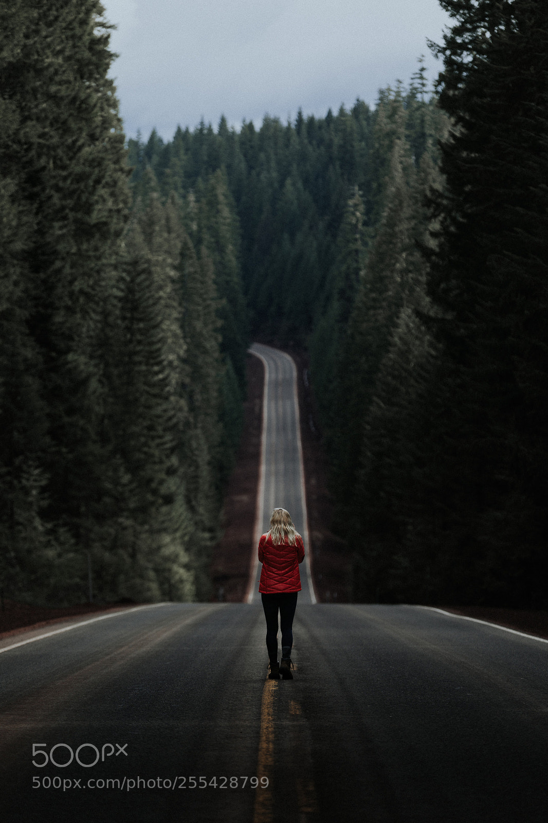 Canon EOS 5D Mark IV sample photo. Exploring the pnw photography
