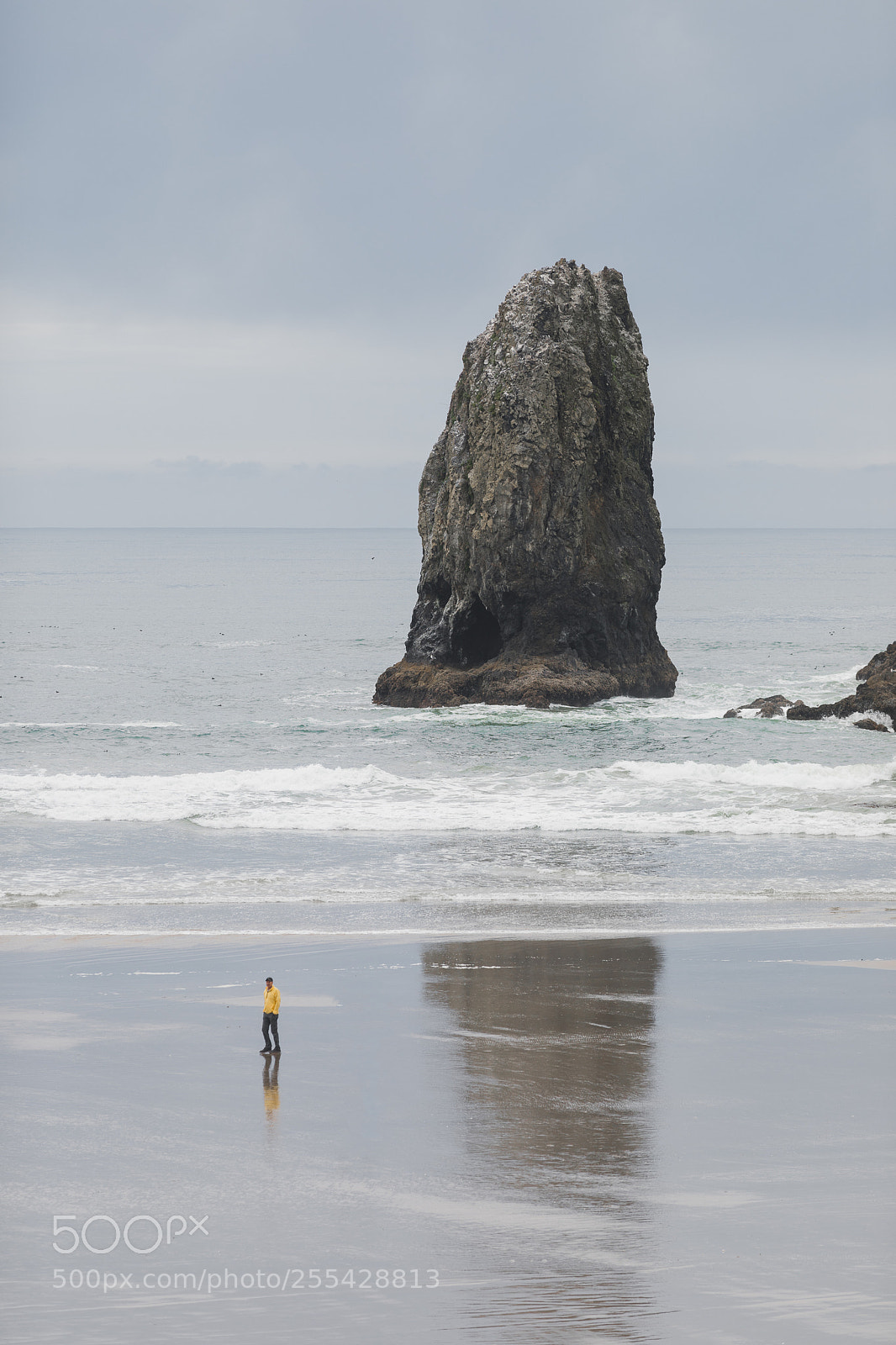 Canon EOS 5D Mark IV sample photo. Exploring the pnw photography