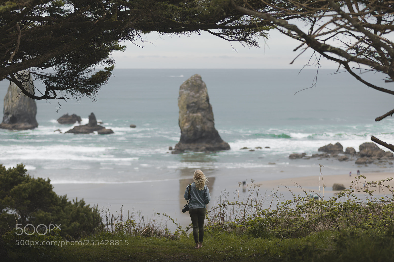 Canon EOS 5D Mark IV sample photo. Exploring the pnw photography