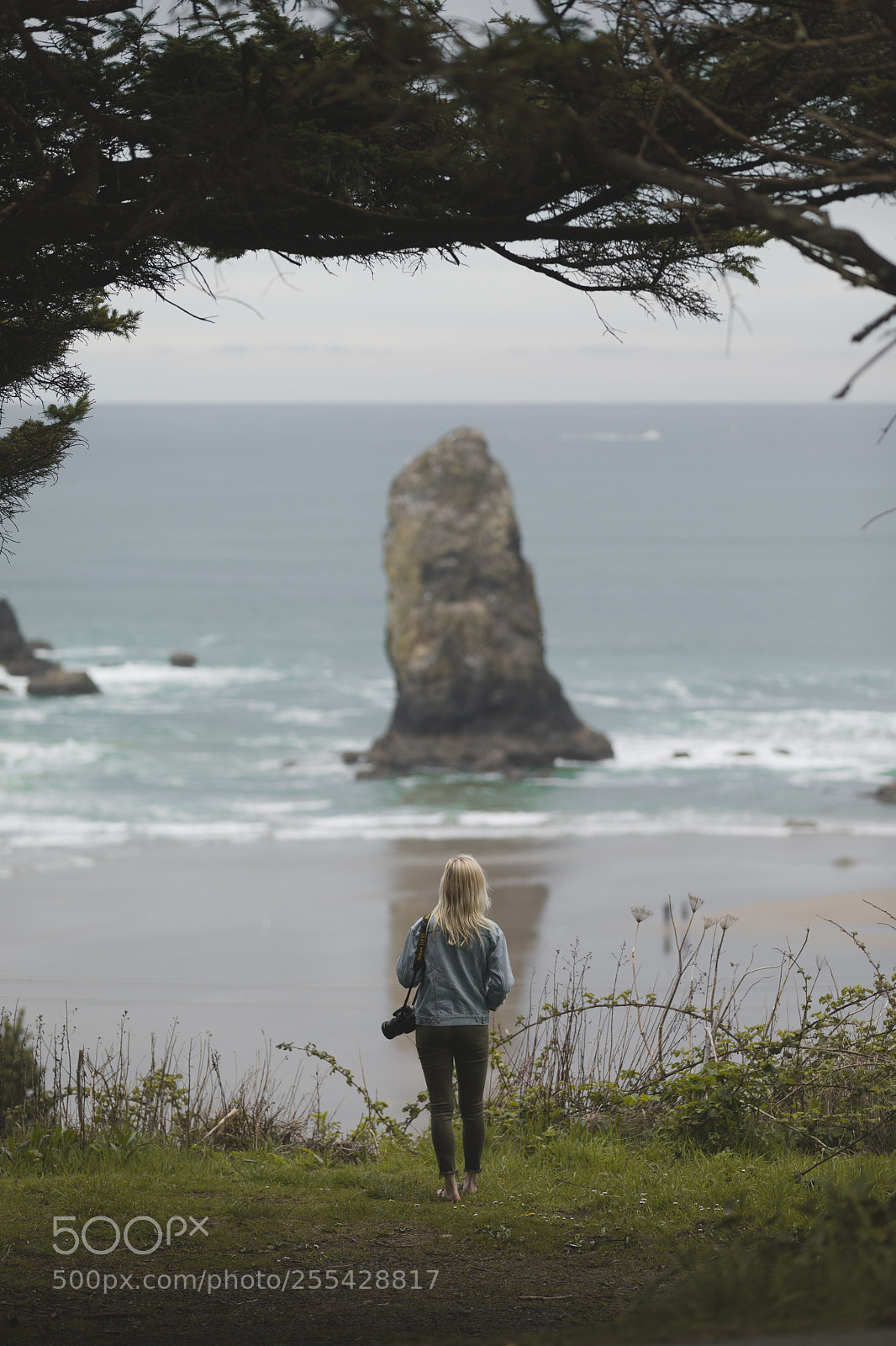 Canon EOS 5D Mark IV sample photo. Exploring the pnw photography