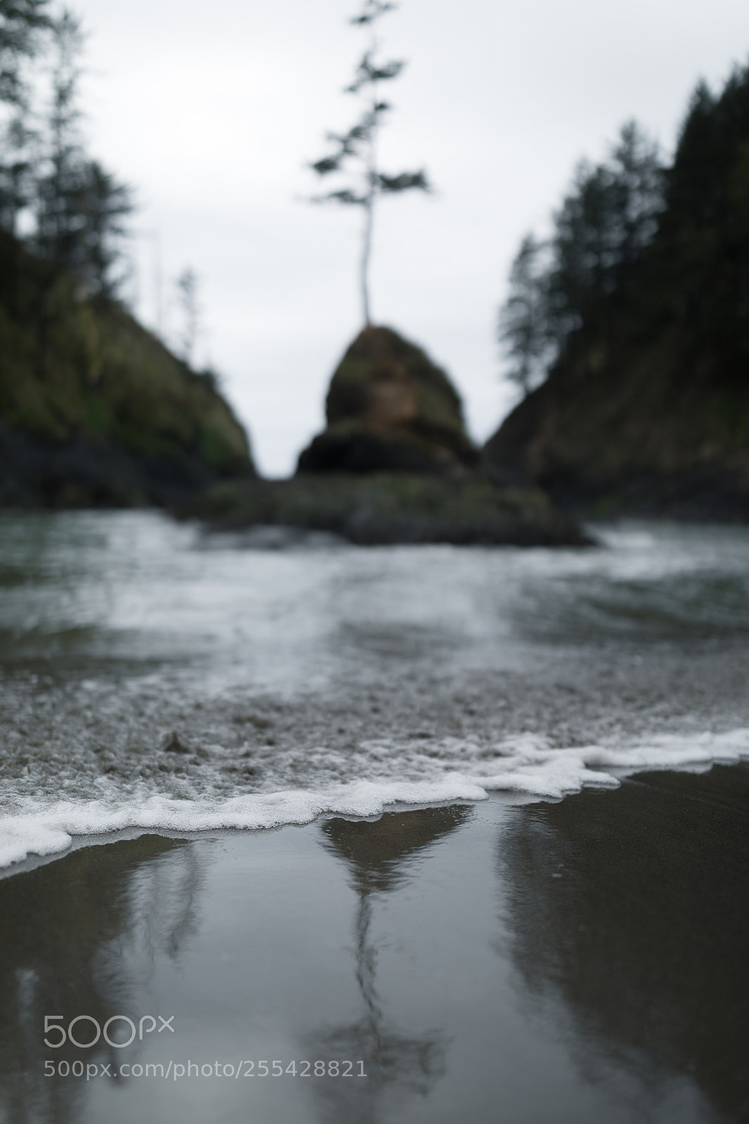 Canon EOS 5D Mark IV sample photo. Exploring the pnw photography
