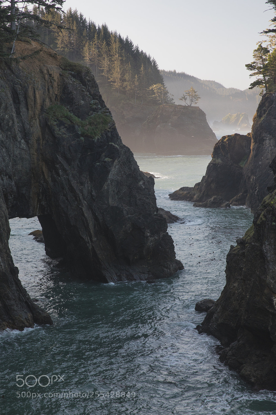 Canon EOS 5D Mark IV sample photo. Exploring the pnw photography