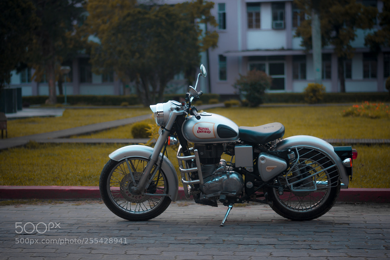 Nikon D5200 sample photo. Let's cruise photography