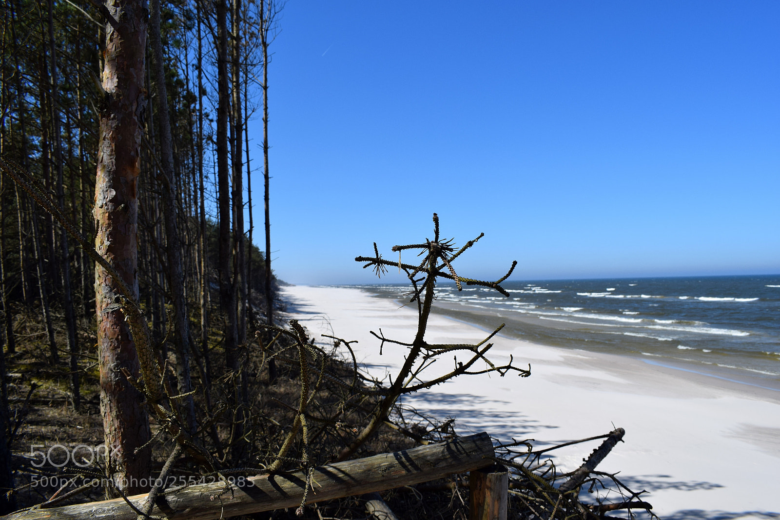 Nikon D3300 sample photo. Ulinia, poland photography
