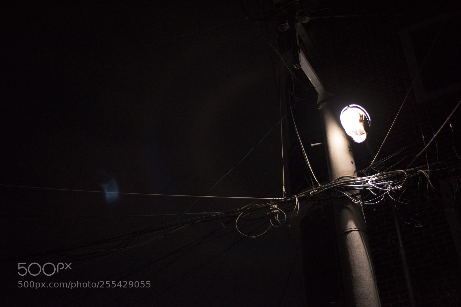 Nikon D810 sample photo. In a night  no.8 photography