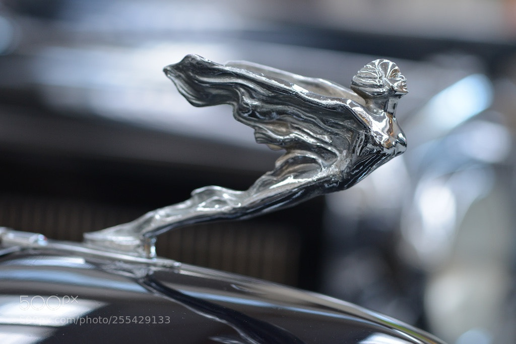 Nikon D600 sample photo. Rolls royce hood ornament photography