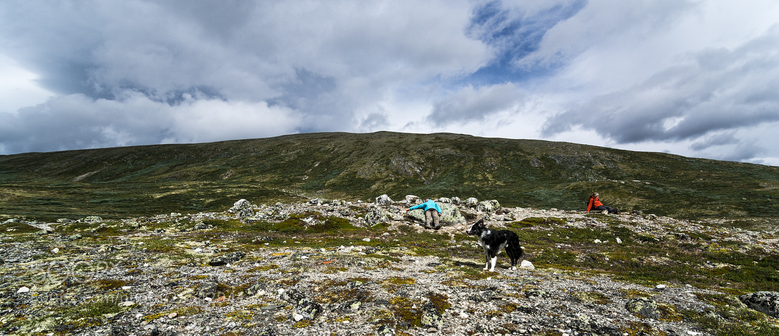 Nikon D7100 sample photo. Dovre scenery photography