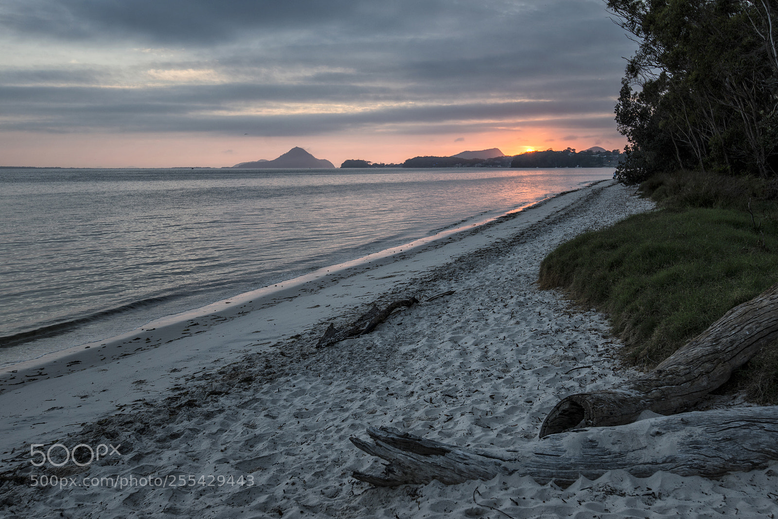 Nikon D800 sample photo. Port stephens photography
