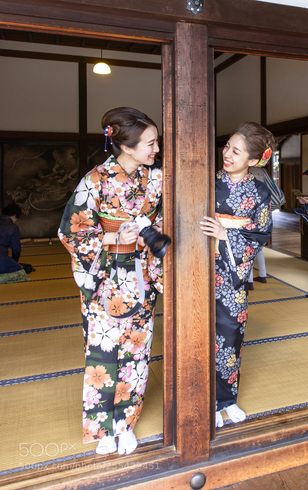 Nikon D800 sample photo. Kyoto spring photography