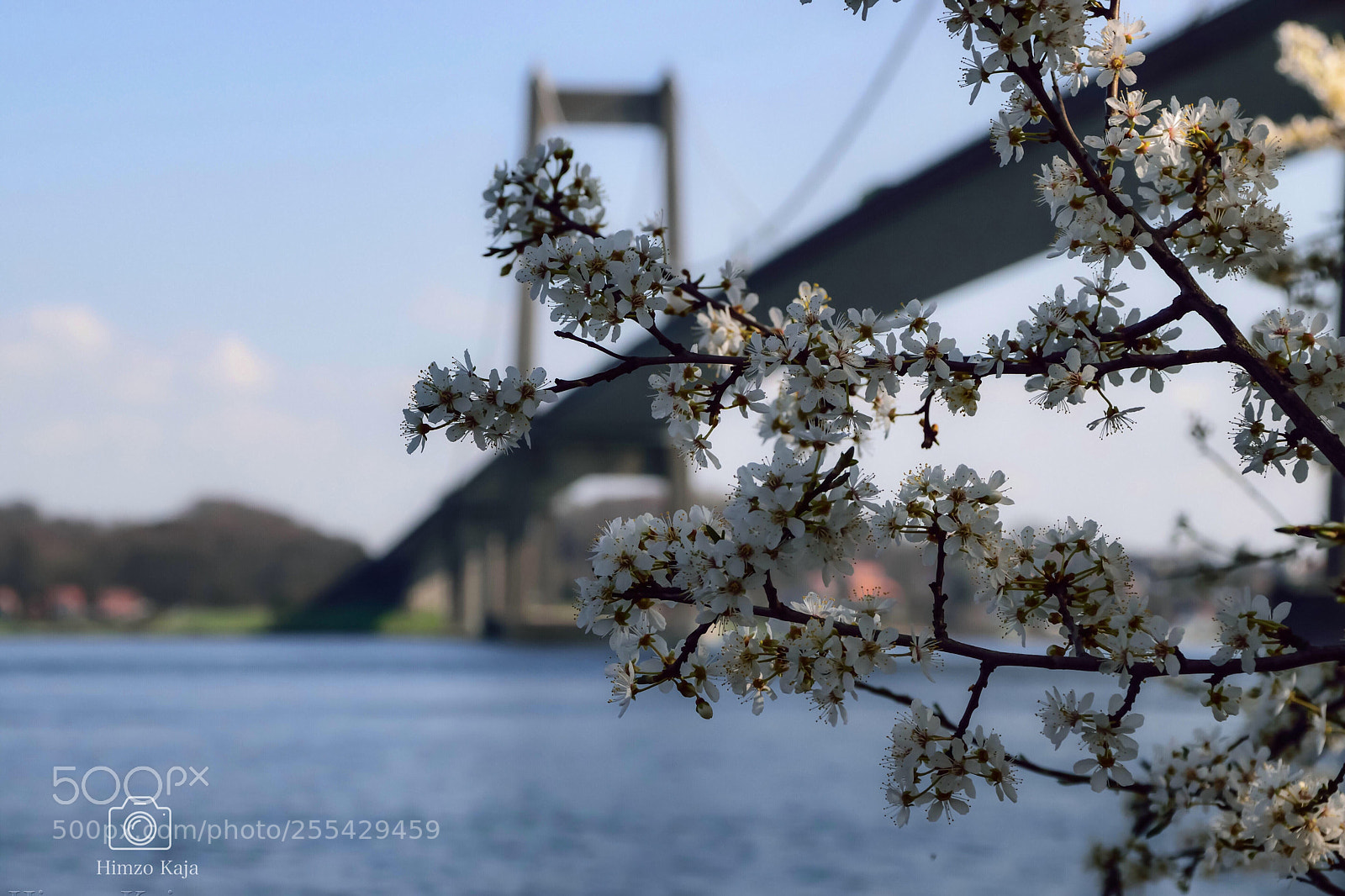 Nikon D5300 sample photo. Spring photography