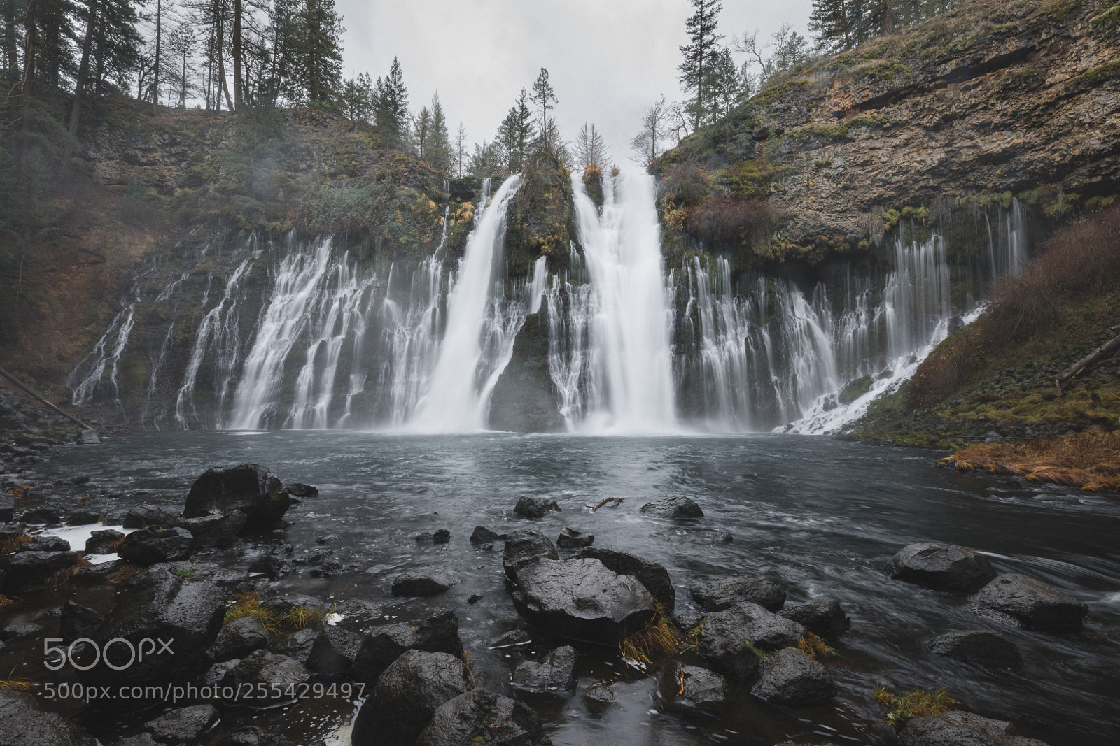 Canon EOS 5D Mark IV sample photo. Norcal trip 2017 photography