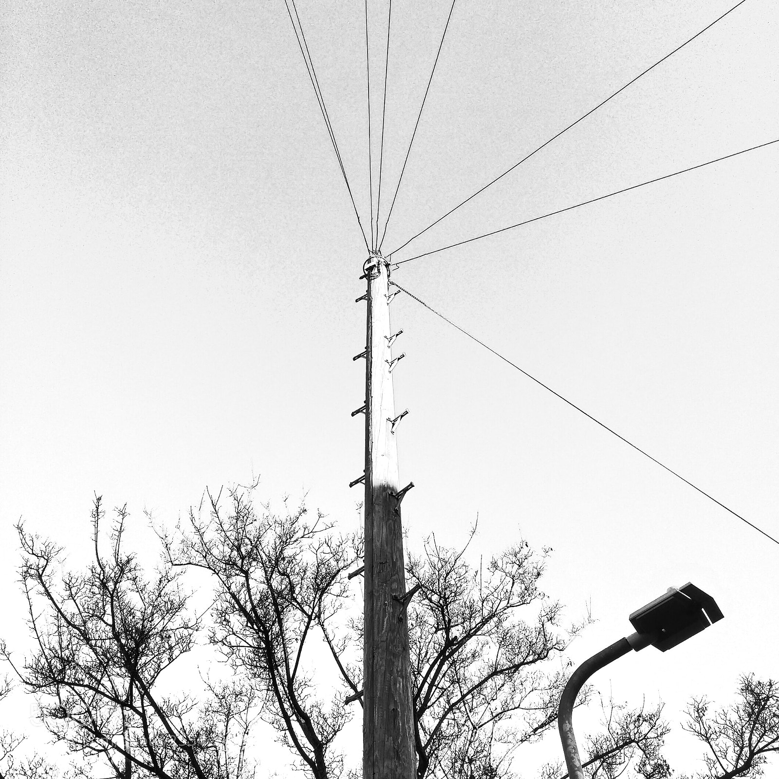 Motorola MotoG3 sample photo. Up photography