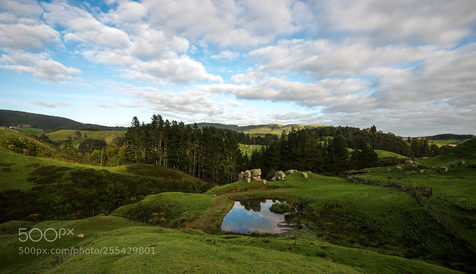 Nikon D810 sample photo. Farmland waikato new zealand photography