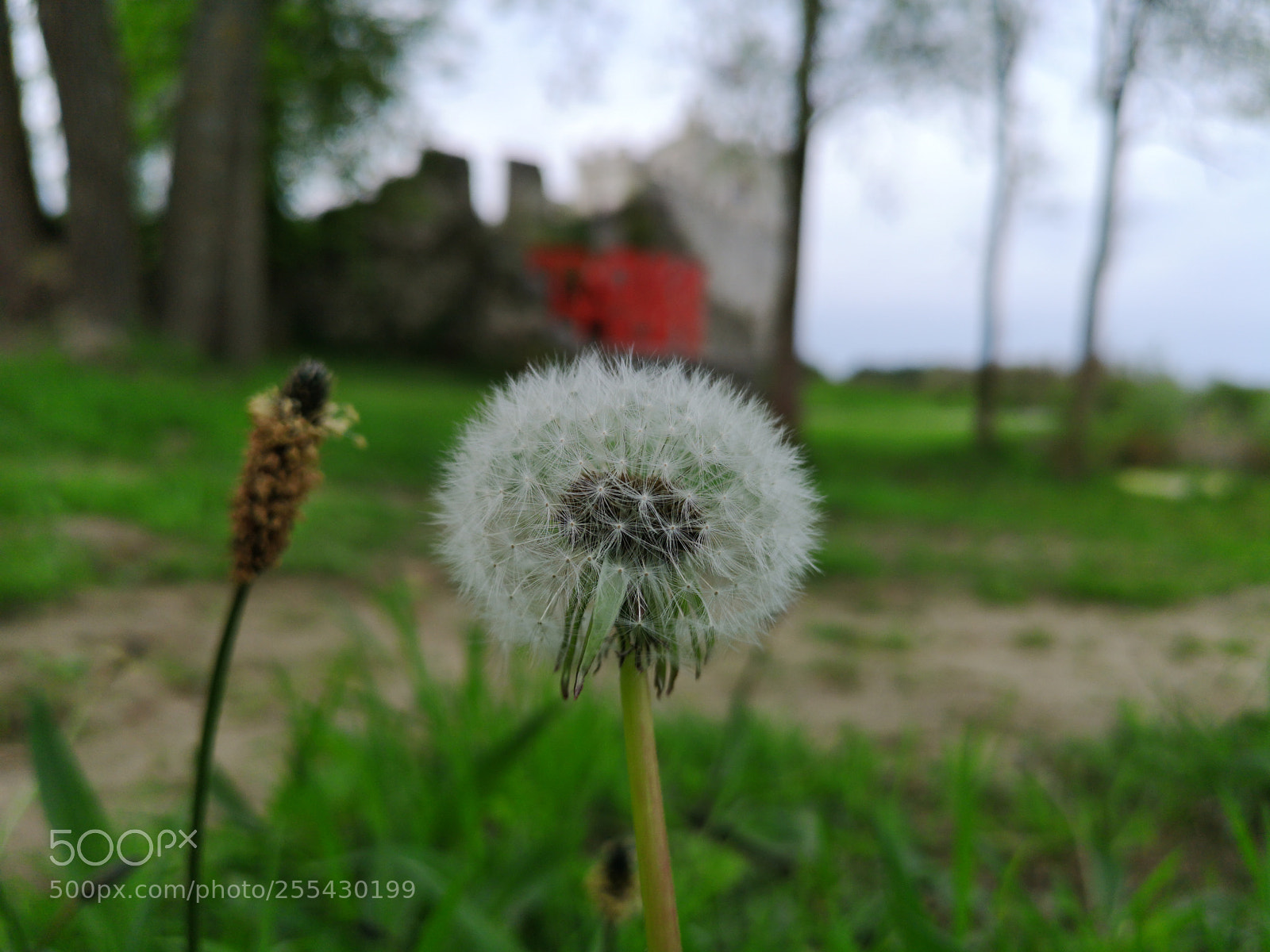 HUAWEI CLT-L29 sample photo. Matin tranquille photography