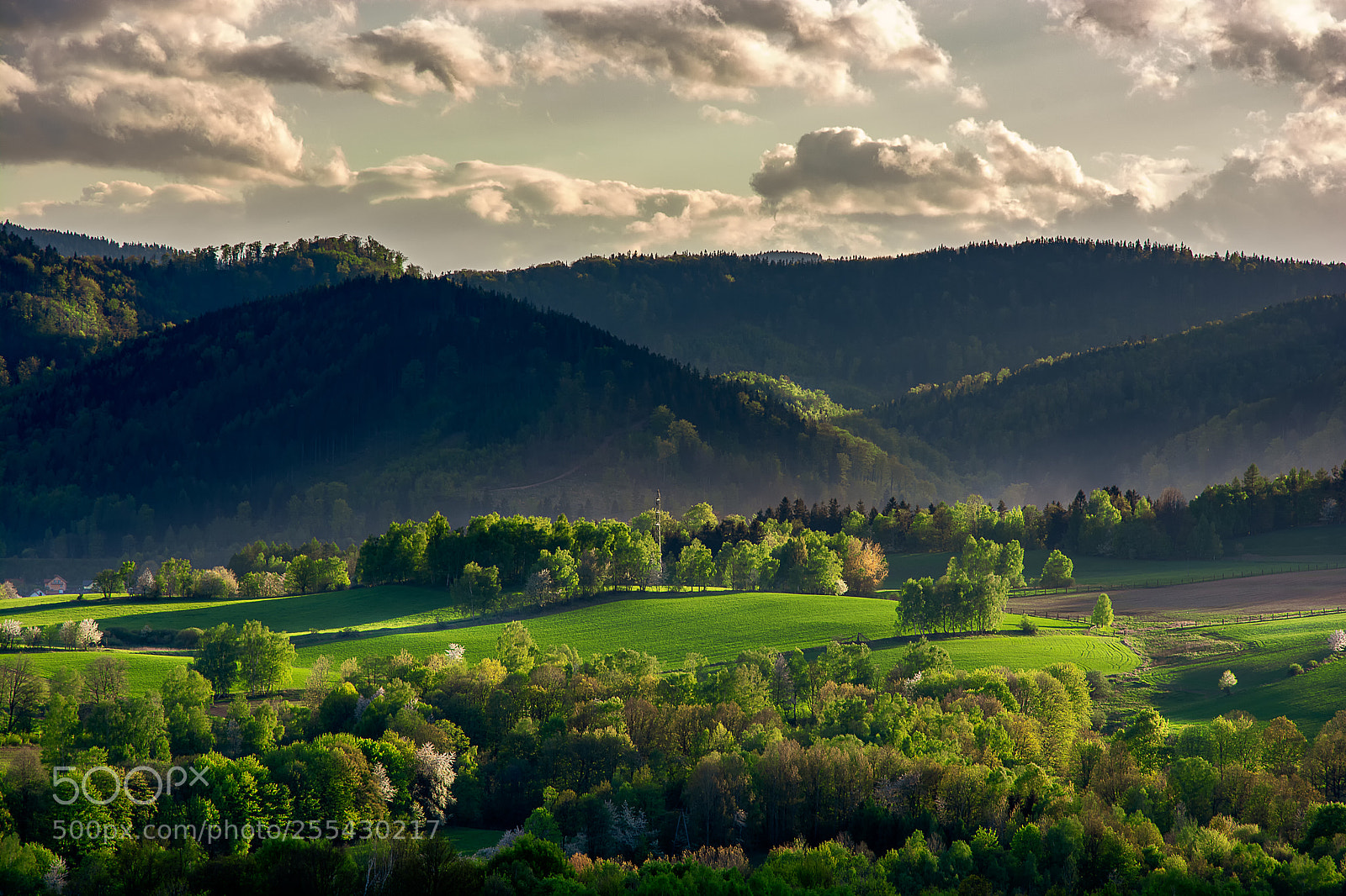 Nikon D7100 sample photo. Spring sunset photography