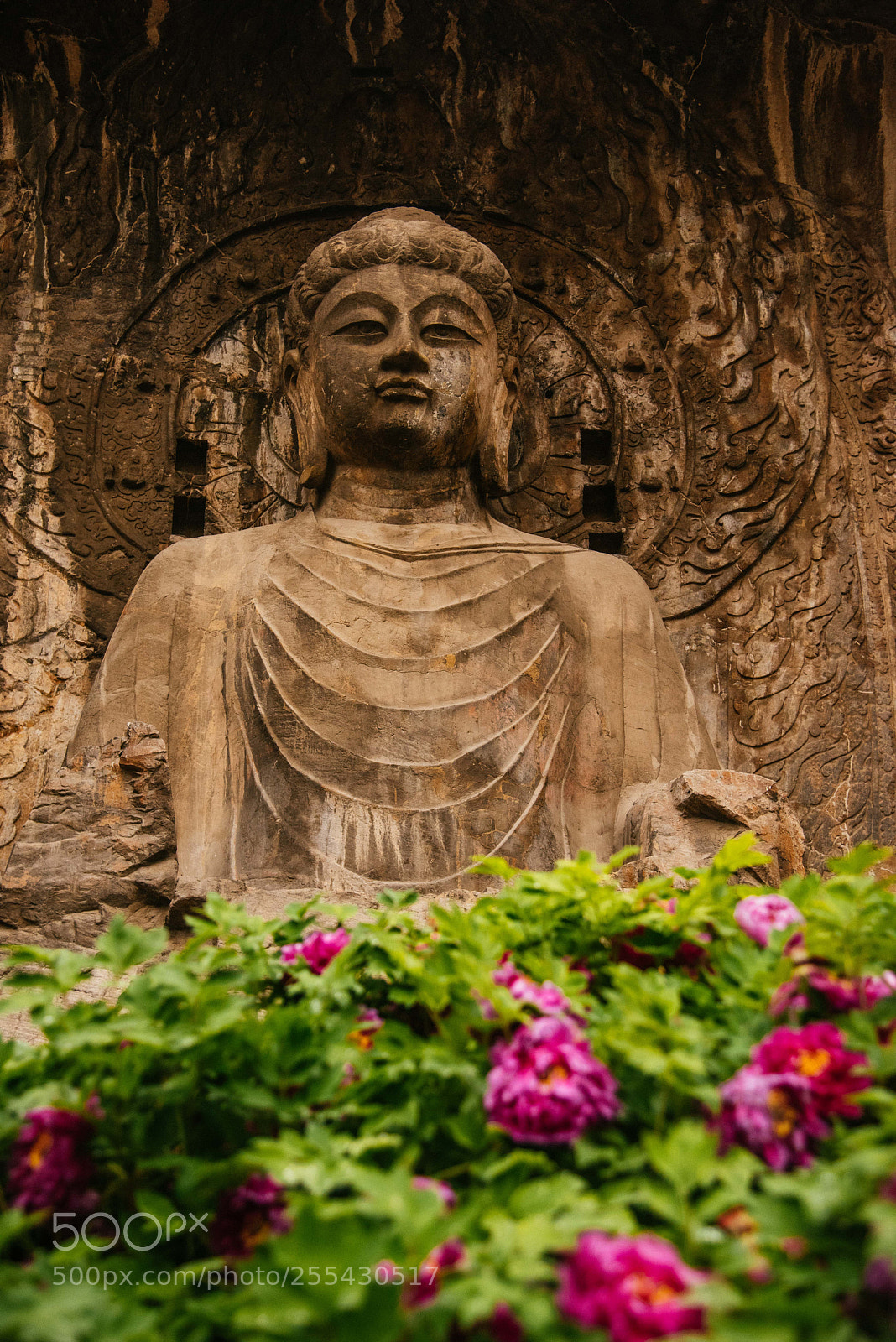 Nikon D810 sample photo. Vairocana buddha photography