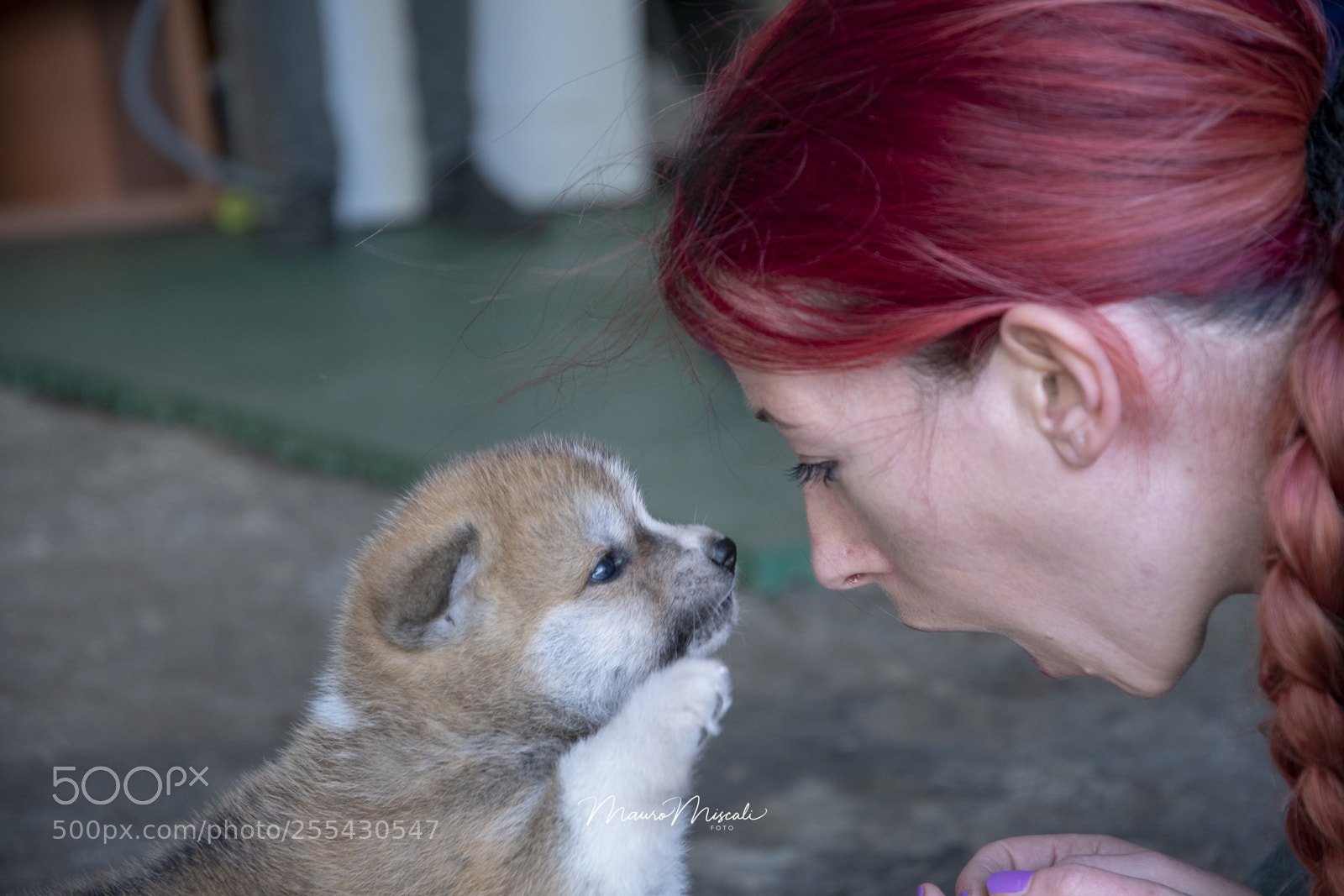 Nikon D500 sample photo. Challenge photography