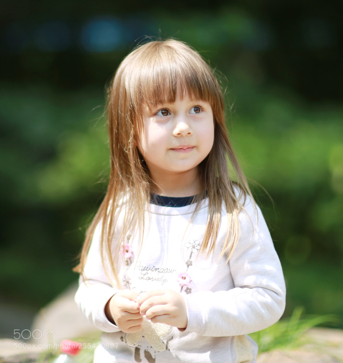 Canon EOS 6D sample photo. Untitled photography